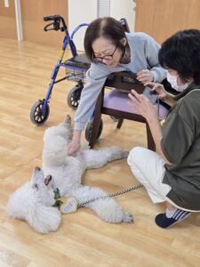 ドックセラピー